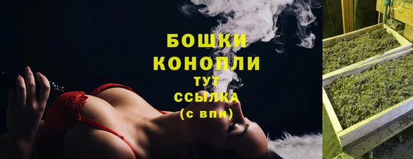 молекула духа Вяземский